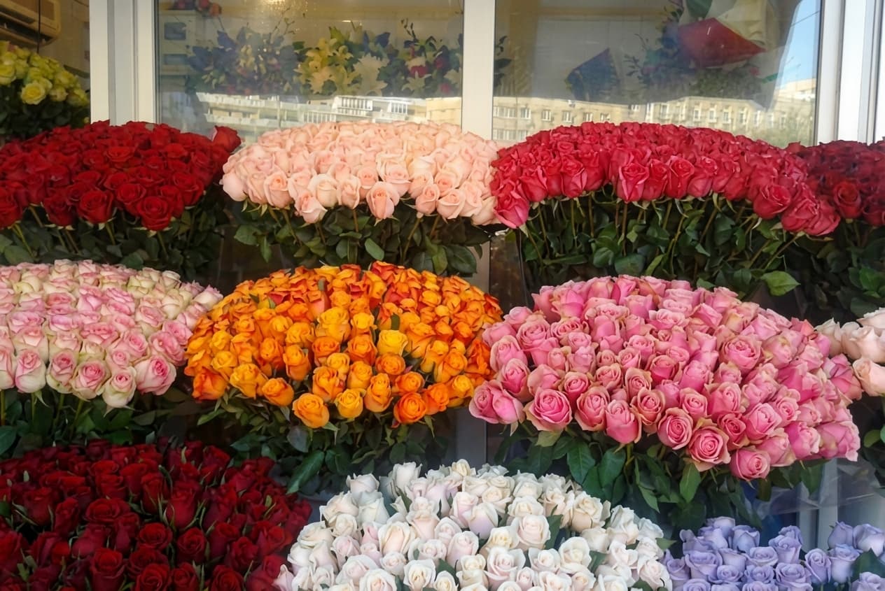 Букет троянд 101 шт