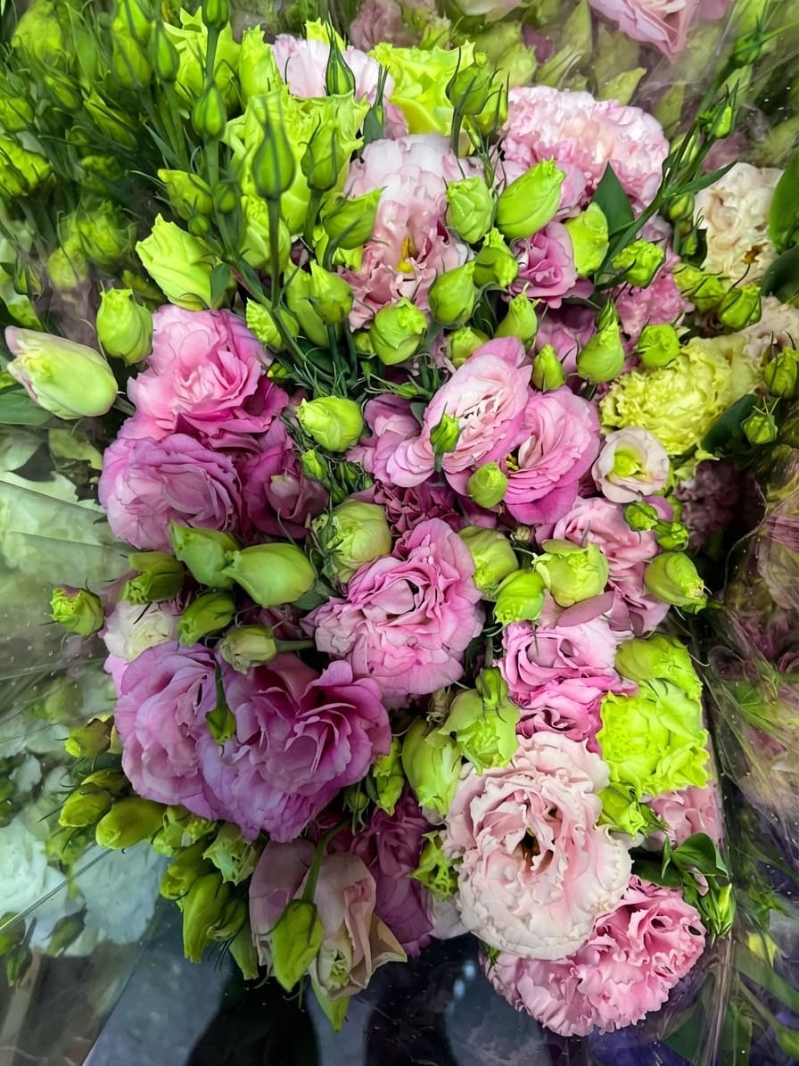 Еустома зріз на букети