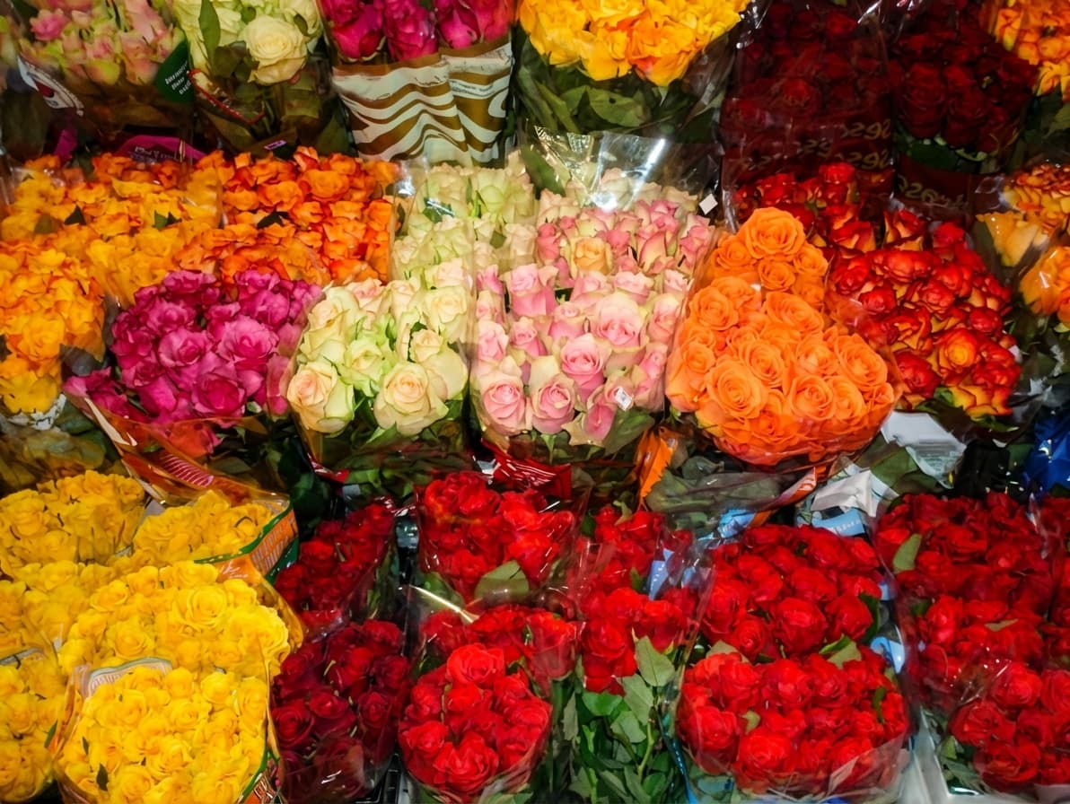 Тюльпан та троянда мікс